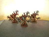 /album/galerie-de-photos-descent/arbres-jpg/